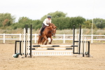 SBM_022875