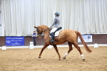 SBM_007950