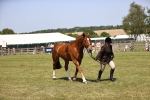 SBM_17774