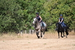 WJ6_8663