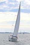 190729 SEA BADGER GBR9483T 1Y3A6695
