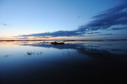 Landscape portfolio