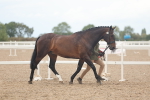 SBM_07959