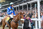 151125-Race 1-One Horse Town-2227