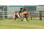 SBM_05213