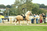 SBM_62664