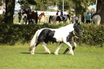 SBM_68568