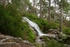 Waterfall in Rothiemurchus Forest