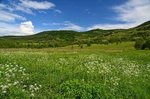 Zemplén Mountains, Borsod-Abaúj-Zemplén county, Hungary
