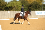 SBM_14184