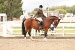 SBM_01605