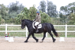 SBM_016733