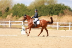 SBM_011837