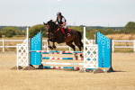 SBM_003325