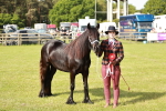 SBM_00755