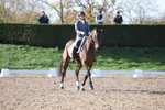 British Dressage portfolio