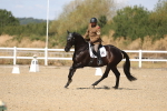 SBM_013644