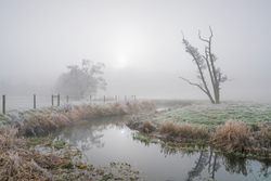 Frosty Wey