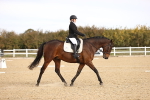 SBM_009555