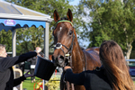 180624-Race 1-Paps Turf-7586