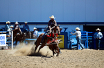 3HRodeo8-11-25_PRCASteer_02999_