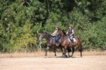 WJ6_7846