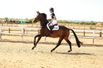 SBM_002573