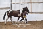 BPP_1229