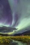 Swedish Northern Lights 0880 v2 deg