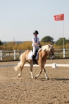 SBM_006929