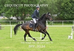 BPP_9134