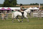 SBM_07665
