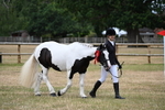 WJ6_4540
