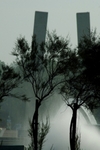 Artistic S da Pedra