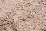 250511-092016-12913