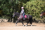WJ6_7946