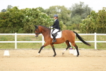 SBM_017881