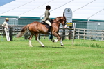 SBM_03738