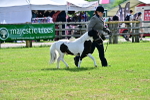 SBM_03414