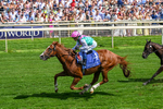 270626-Race 4-Qirat-0288