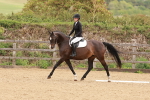 SBM_001397