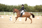 SBM_020231
