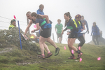 Wansfell-467