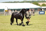 SBM_07185