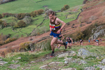 Stybarrow Dodd-109