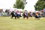 SBM_16455