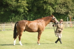 SBM_10437