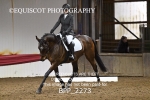 BPP_2273