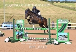 BPP_6319