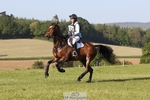 132-OGUE_VERDI-Kitty_King-XC portfolio